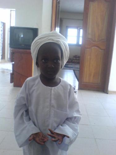 cheikh amin